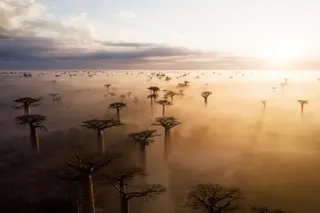 Madagascar